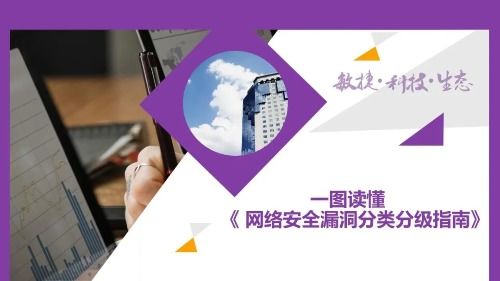 一圖讀懂網(wǎng)絡(luò)安全漏洞分類(lèi)分級(jí)指南